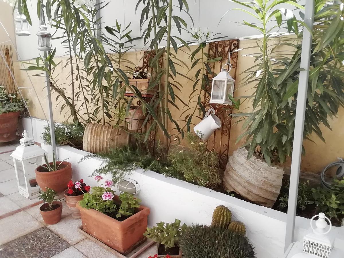 Amazing Semi-Basement Art Apartment Easy Walk To Nafplio Centre Exterior foto